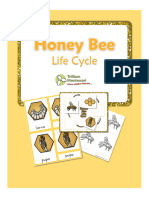 Life Cycles - Honeybee by Trillium Montessori