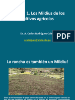 PPTPractica 1 Los Mildius