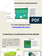 Enfermedades Bacterianas Parenquimáticas: Dr. Carlos Rodríguez Cobos