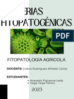 Bacterias Fito Patogénicas. T02