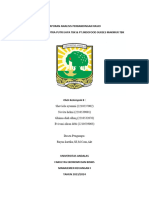 Analisis Perbandingan Rasio Kelompok 8