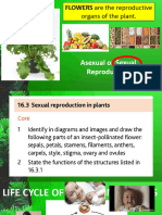 Reproduction in Plants For Managebac - PPTX 1