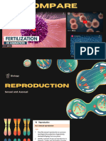 Intro To Reproduction