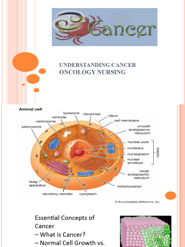 Oncology Nursing: Cancer Overview | PDF | Colorectal Cancer | Cancer
