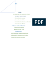 Contaminación Ambiental