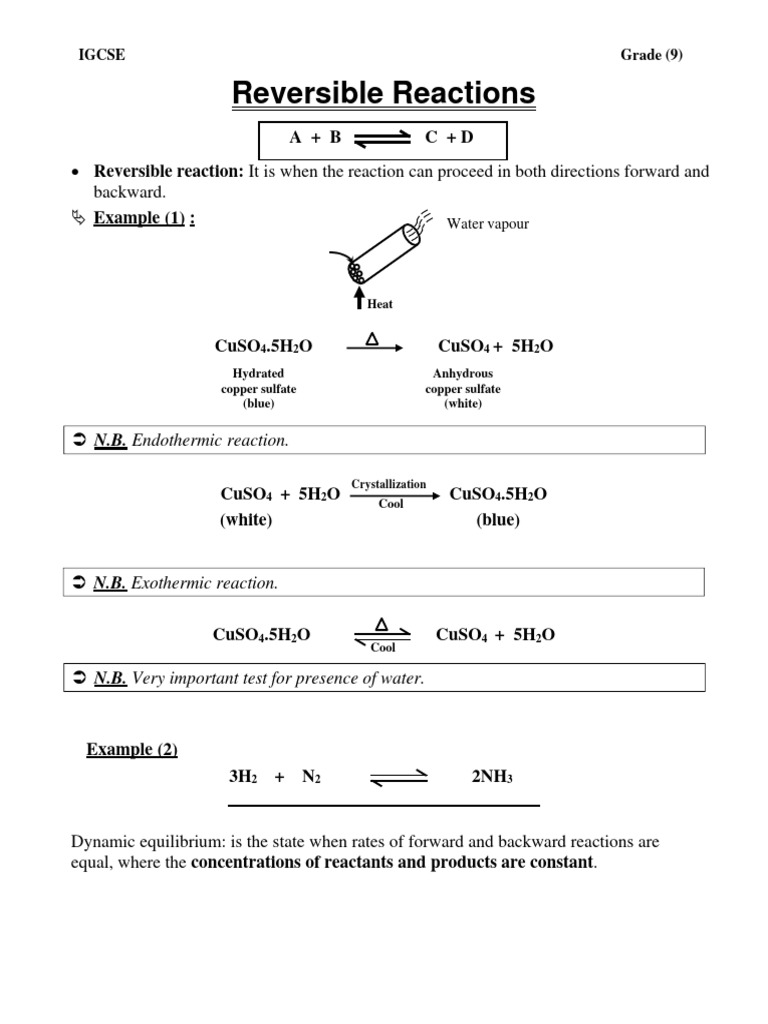 Understanding Reversible Reactions in Chemistry | PDF | Fertilizer ...