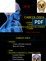 2 - Cabeza Osea-2018