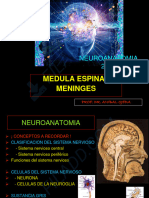 4-Medula Espinal-Meninges - 2018