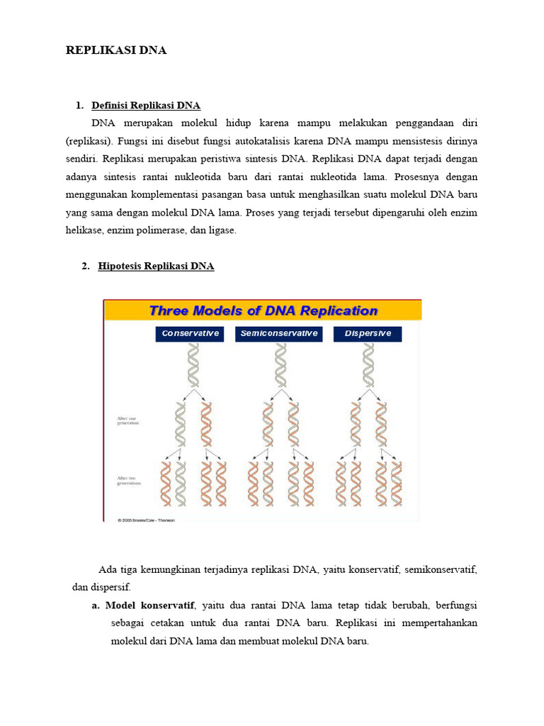 Proses dan Enzim dalam Replikasi DNA | PDF | Sains & Matematika