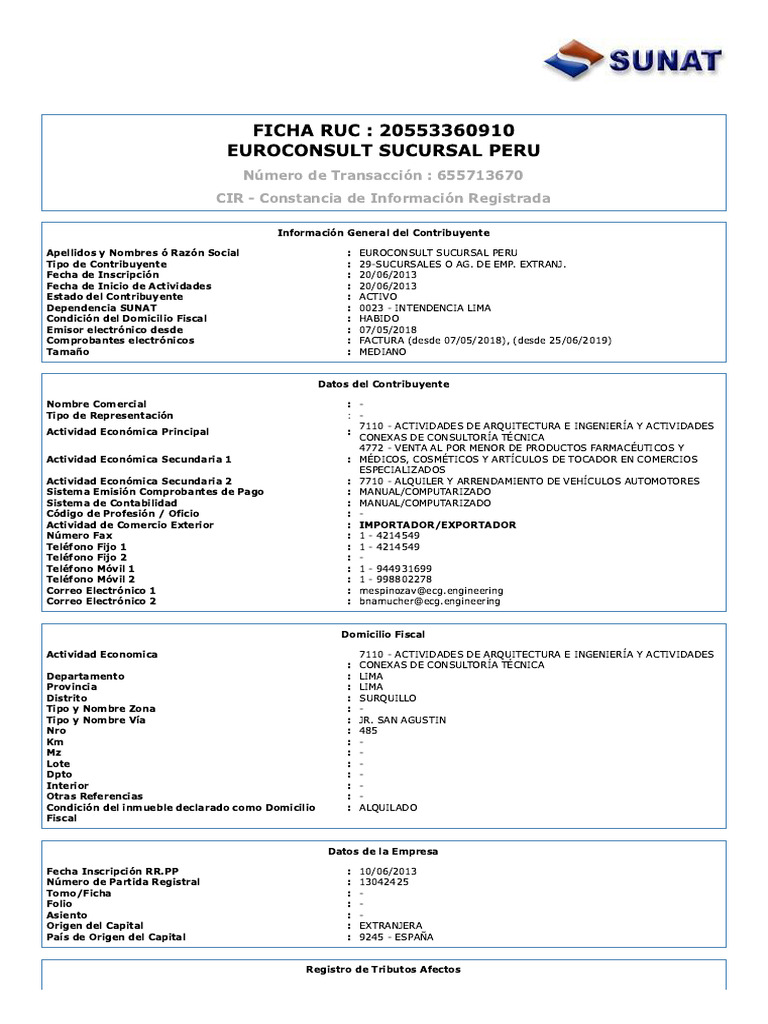 01 FICHA RUC - EUROCONSULT SUCURSAL PERÚ | PDF