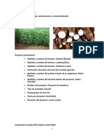 Proyecto de Mandioca PDF