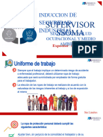 DE Seguridad Industrial: Induccion