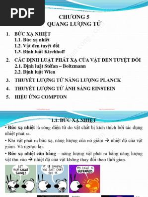 Các nguyên lý cơ bản trong Thuyết Lượng Tử Ánh Sáng