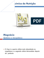 Bioquimica Da Nutricao - Magnesio