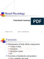 01 Functional Anatomy Kidney