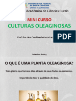 Culturas-Oleaginosas