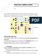 INSUFICIENCIA DE LA MÉDULA ÓSEA (Comisión) Alicia