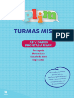 Turmas Mistas