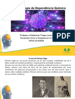 Neurobiologia Da D.Q.-1