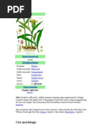 Download Toga by masbaskoro SN68292999 doc pdf