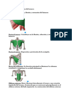 Músculos del tronco_ (1)