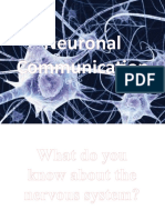 5.3 Neuronal Communication POWERPOINT