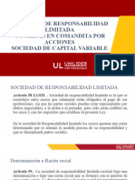 Sociedad de Responsabilidad Limitada, Sociedad de Comandita Por Acciones, Sociedad de Capital Variable