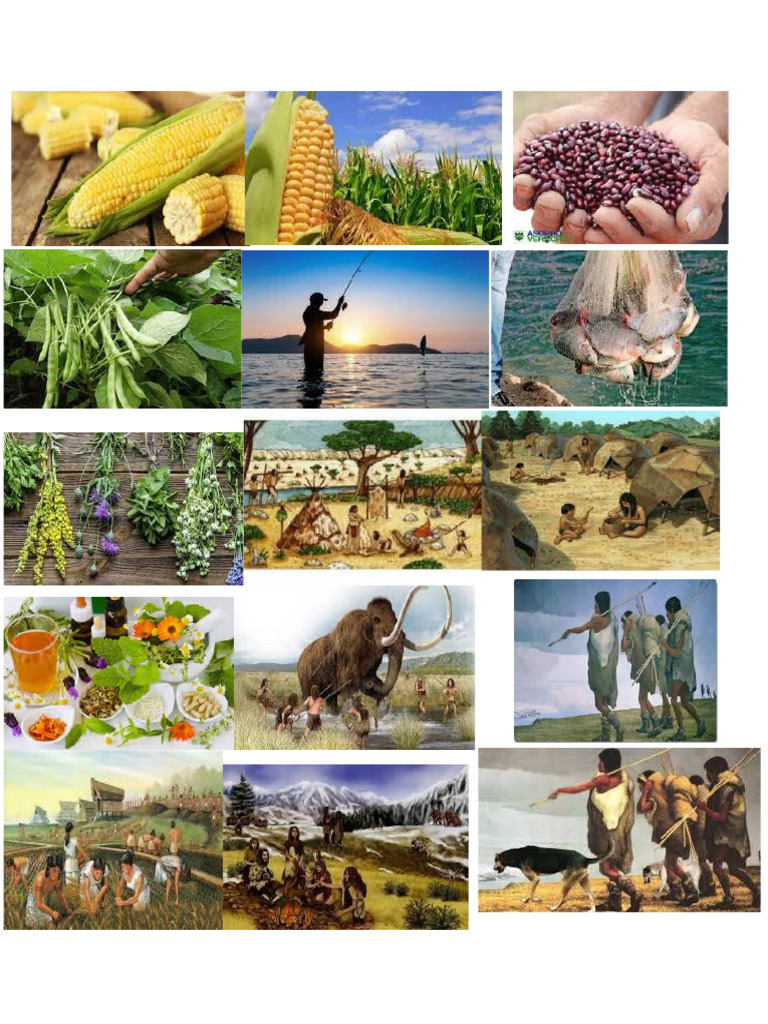 imagenes de historia | PDF