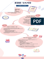 Fases Del Esquema Corporal