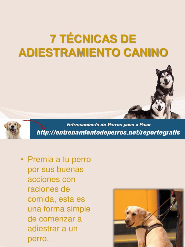 7 Técnicas de Adiestramiento Canino PDF
