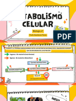 Metabolismo Celular