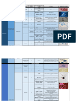 Fitopatologia Clasificacion