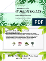 Plantas Medicinales