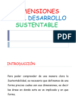 1.3 Dimensiones - Sustentabilidad