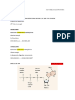 Metabolismo Enzimas y Nutricion