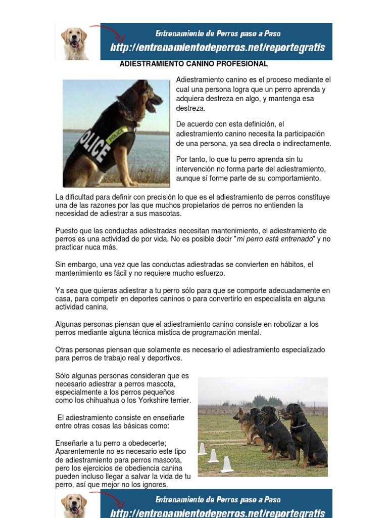 Adiestramiento Canino Profesional PDF