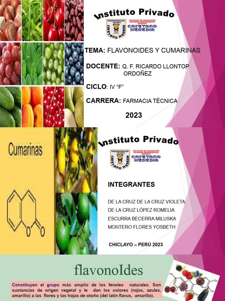 flavonoides-estructura-y-funciones-pdf-flavonoide-cromatograf-a