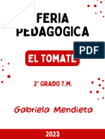 Feria Pedagogica