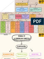 Bases Biológicas Del Comportamiento Humano - Mapa Conceptual - Alisson Nayely Meléndez Calderón.