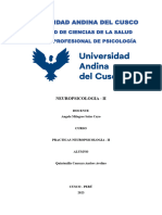 Universidad Andina Del Cusco