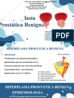 Hiperplasia Prostatica Benigna Todos