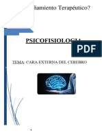 Acompañamiento Terapéutico - Psicofisiologia - Trabajo Practico