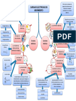 Cargas Eléctricas - DIAGRAMA DE ÁRBOL