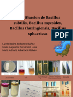 Pruebas Bioquimicas