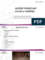 Discapacidad Intelectual Iebem