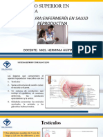 Guia de Acompañamiento Docente Salud Reproductiva