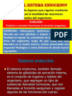 Sistema Endocrino