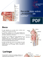 Teoria Imagen Prueba 2