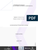 Actividad Individual de Sociologia Carolina