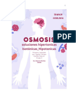 Osmosis Actividad